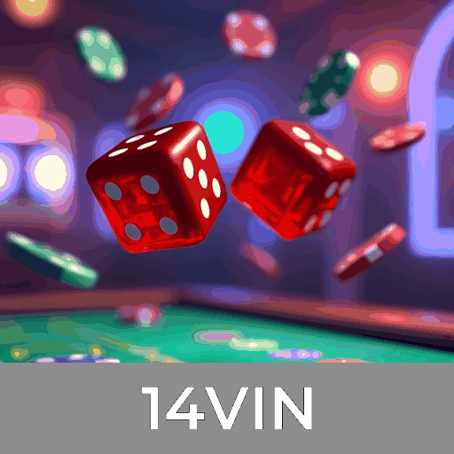 14VIN: Experiência de Jogo Segura e Profissional Online